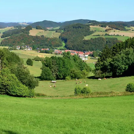 In The Sauerland Region In Unique Location Apartment Willingen (Upland)