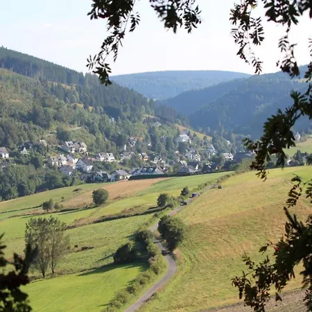Apartment In The Sauerland Region In Unique Location