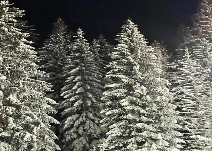 Appartement Moderne Mit Garten In Eimelrod