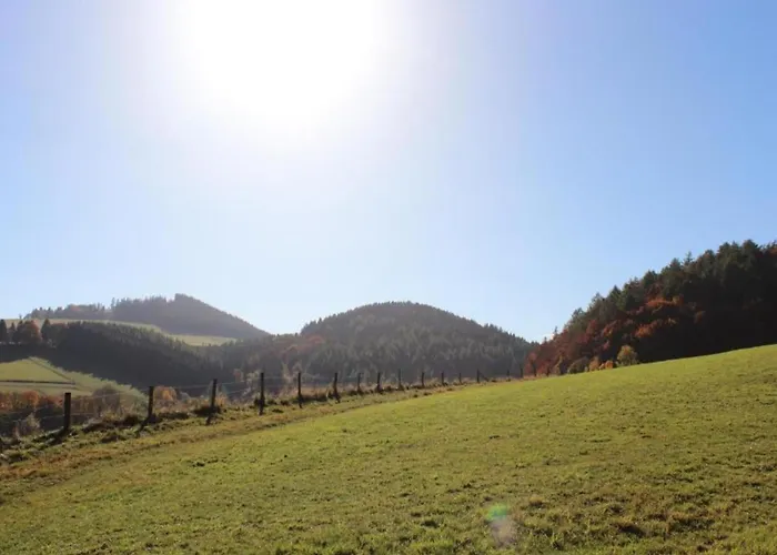 Moderne Mit Garten In Eimelrod Appartement Willingen (Upland)