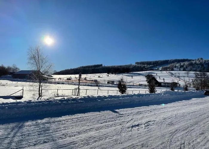 Appartement Moderne Mit Garten In Eimelrod Willingen (Upland)