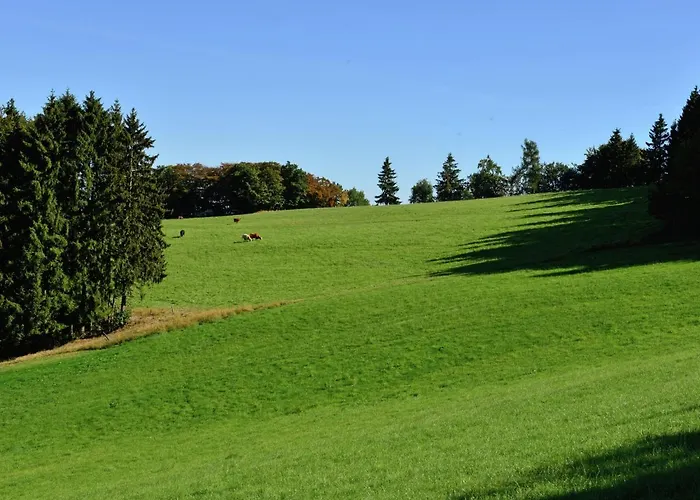 Moderne Mit Garten In Eimelrod Willingen (Upland)